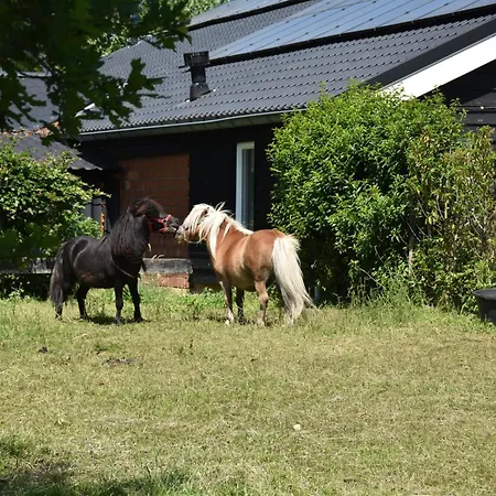 Dom wakacyjny 10 Pers Met Hottub Nabij - Achterhoek Vorden