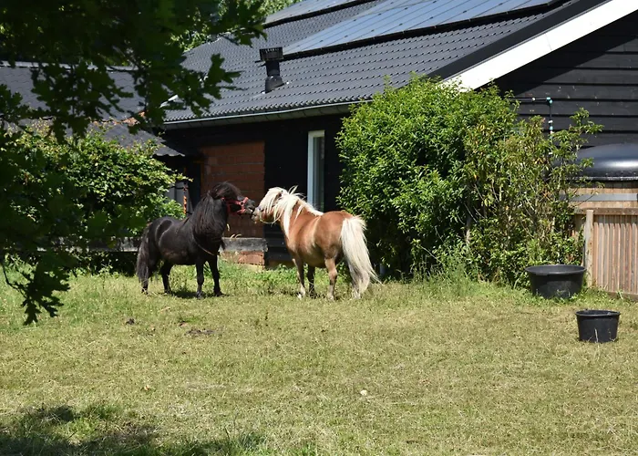 Feriehus 10 Pers Met Hottub Nabij - Achterhoek Vorden